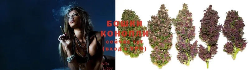 блэк спрут зеркало  Менделеевск  МАРИХУАНА OG Kush 